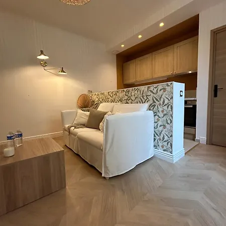 Le Darcy - Entre Gare Et Apartment Dijon